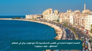 انكسار الموجة الحارة في طقس الإسكندرية غدًا مع هبوب رياح في معظم المناطق.. كيف سيكون؟